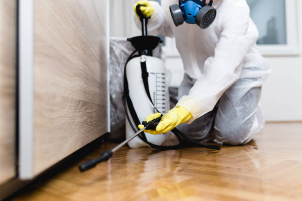 Best Cockroach Control Services  in Gearhart, OR