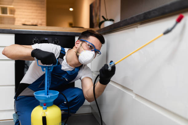 Best Bed Bug Extermination  in Gearhart, OR