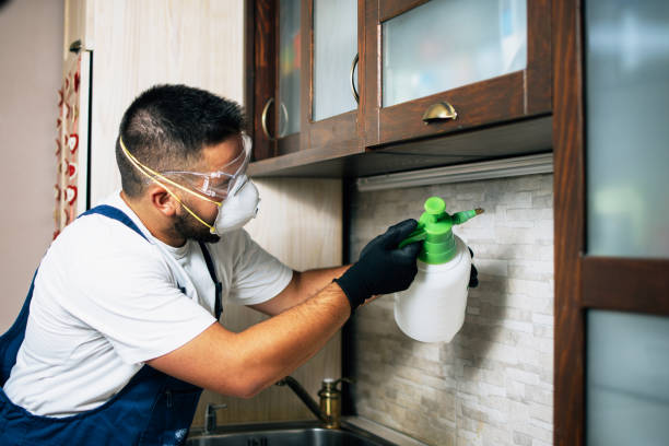 Best Rat Extermination Near Me  in Gearhart, OR