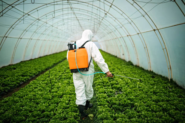 Best Affordable Pest Control Services  in Gearhart, OR