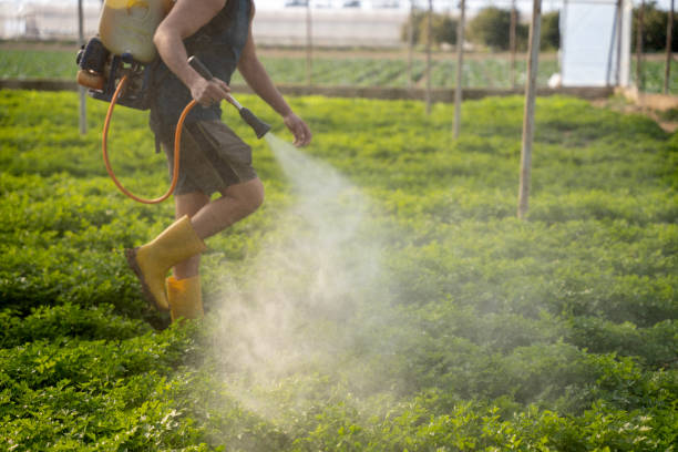 Best Pest Inspection Near Me  in Gearhart, OR