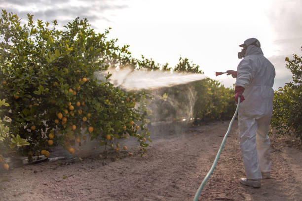 Best Residential Pest Control  in Gearhart, OR
