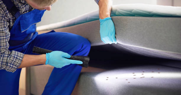 Best Local Pest Control Services  in Gearhart, OR