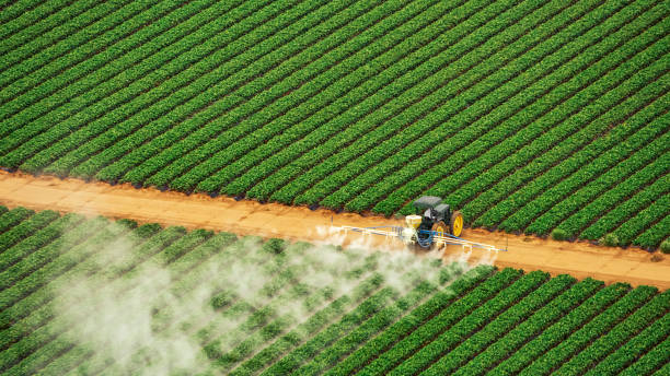 Best Mosquito Control Services  in Gearhart, OR