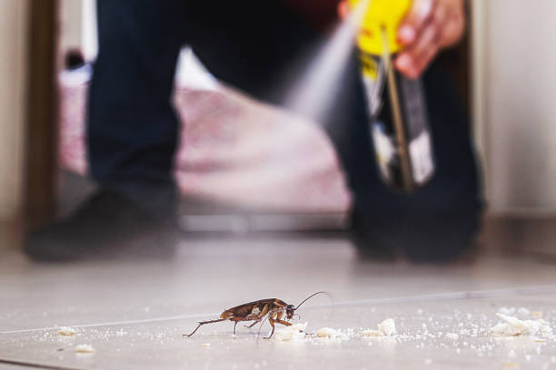 Best Local Pest Control Services  in Gearhart, OR