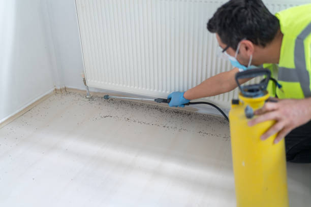 Best Pest Control Near Me  in Gearhart, OR